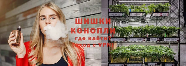 гашик Магадан