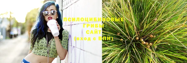 стафф Майский