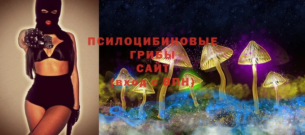 стафф Майский
