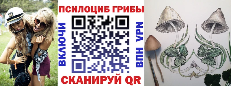 Псилоцибиновые грибы Psilocybine cubensis  mega   Сясьстрой 