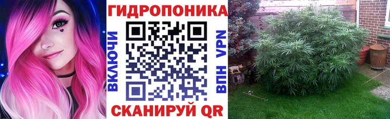 магазин  наркотиков  Сясьстрой  Конопля Ganja 